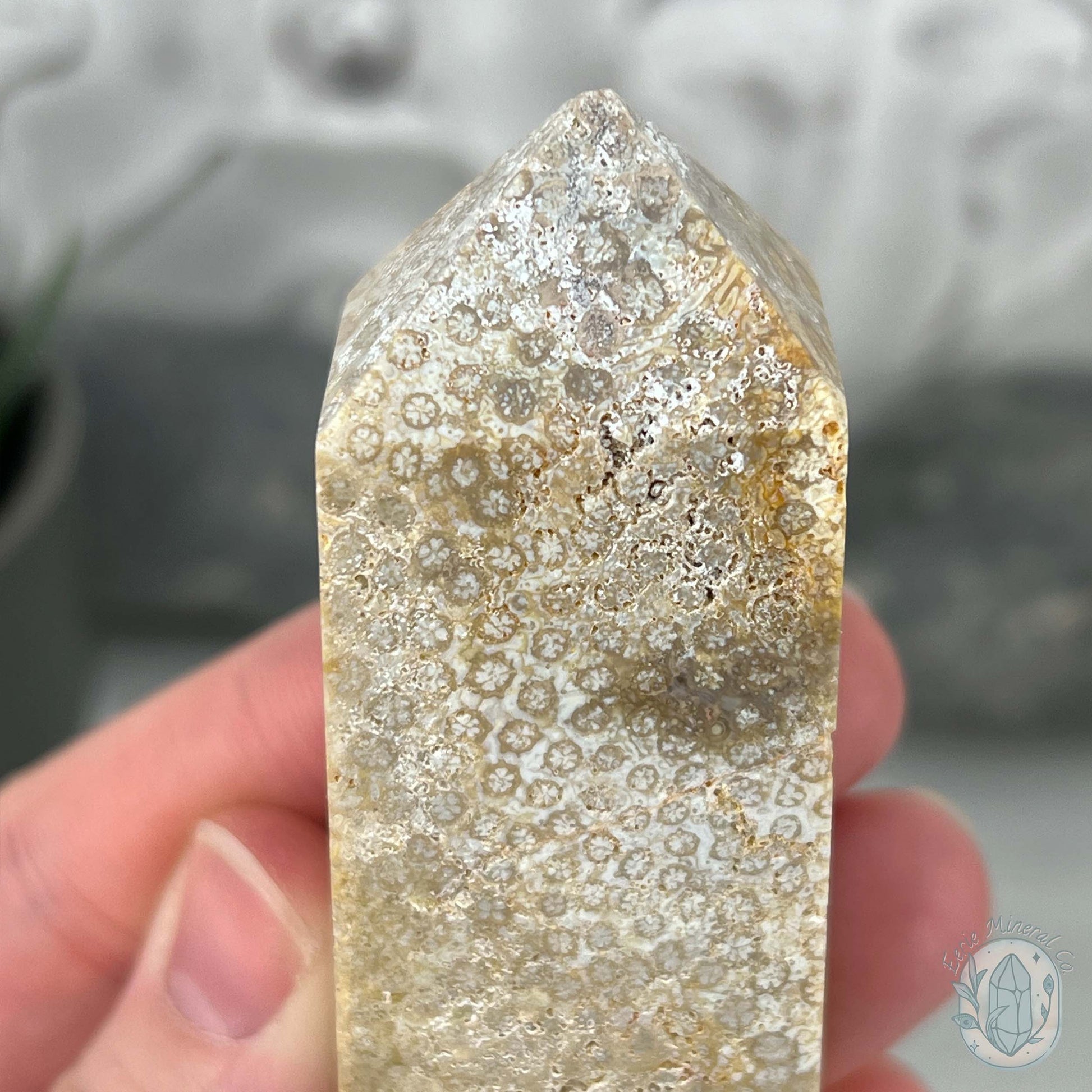 Coral Jade aka Fossilized Actinocyathus Coral Tower