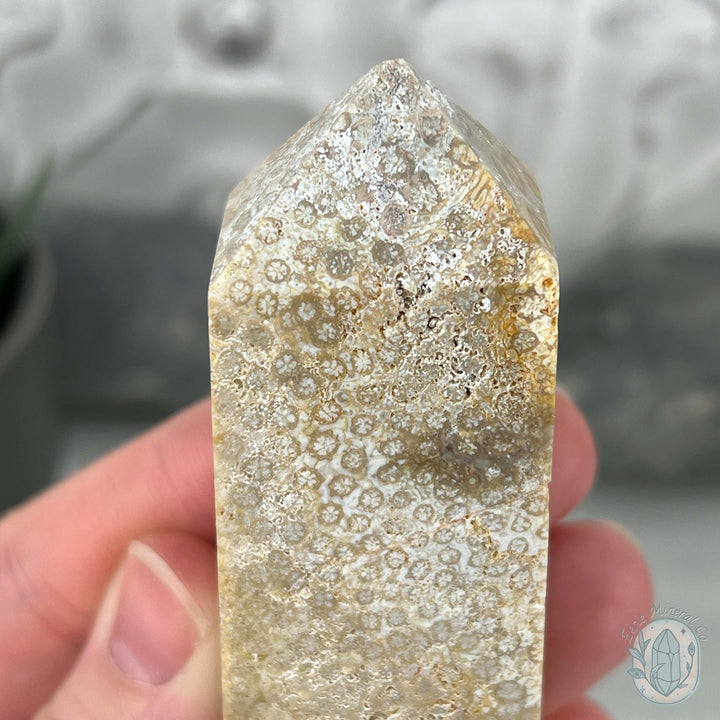 Coral Jade aka Fossilized Actinocyathus Coral Tower