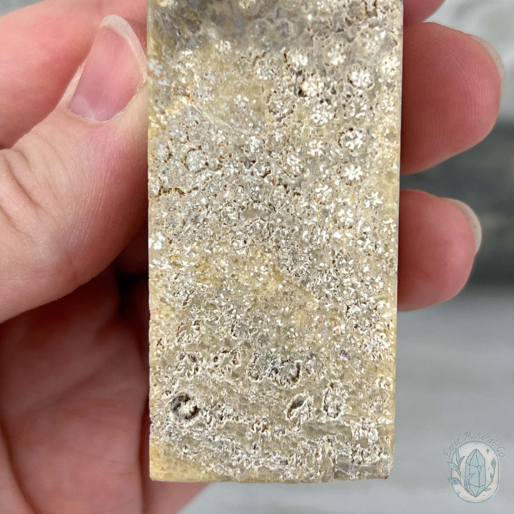Coral Jade aka Fossilized Actinocyathus Coral Tower