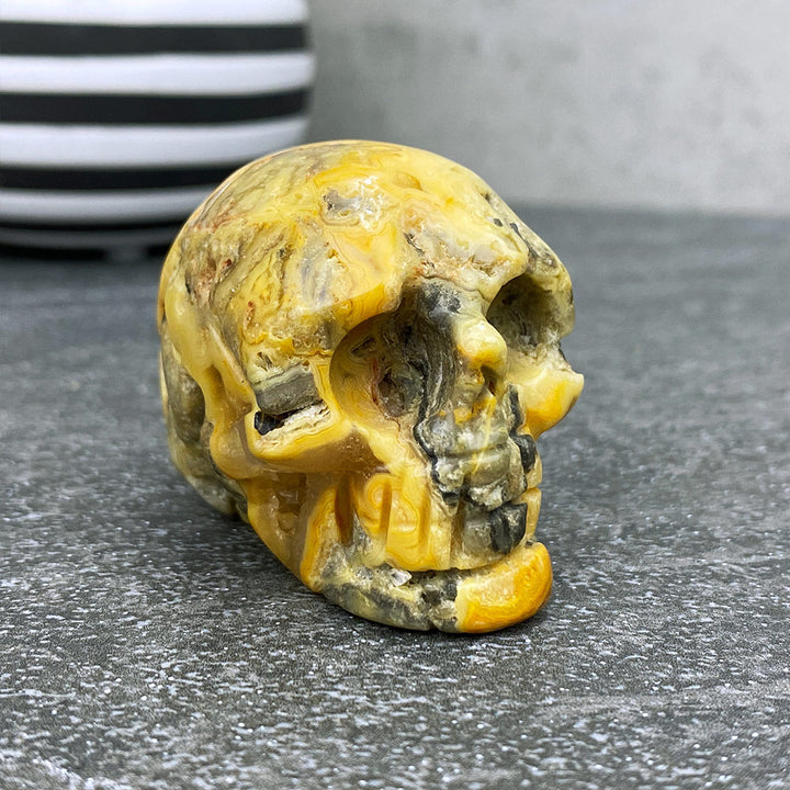 Polished Crazy Lace Agate Stone Skull Carving