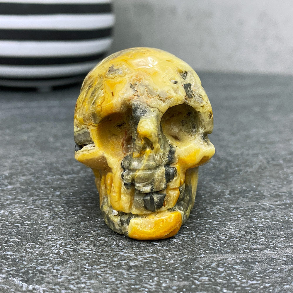 Polished Crazy Lace Agate Stone Skull Carving