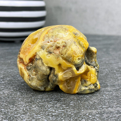 Polished Crazy Lace Agate Stone Skull Carving