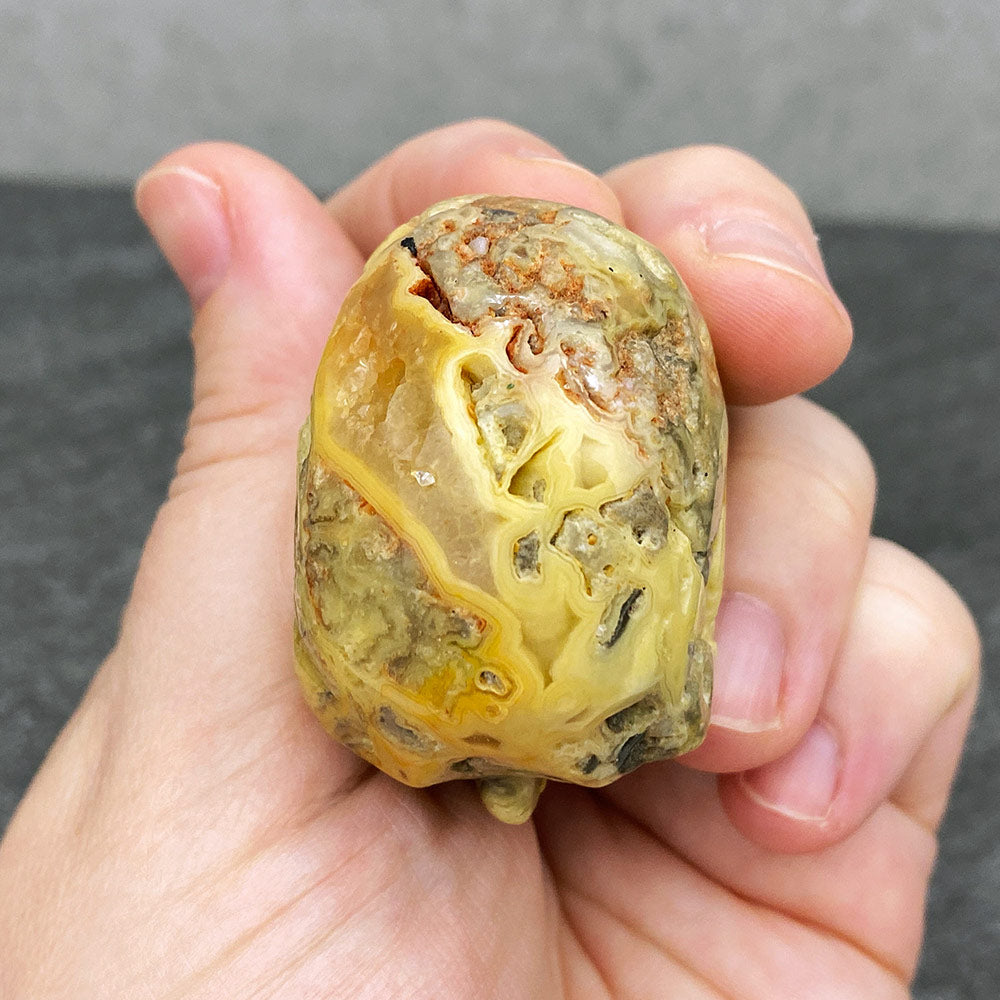 Polished Crazy Lace Agate Stone Skull Carving