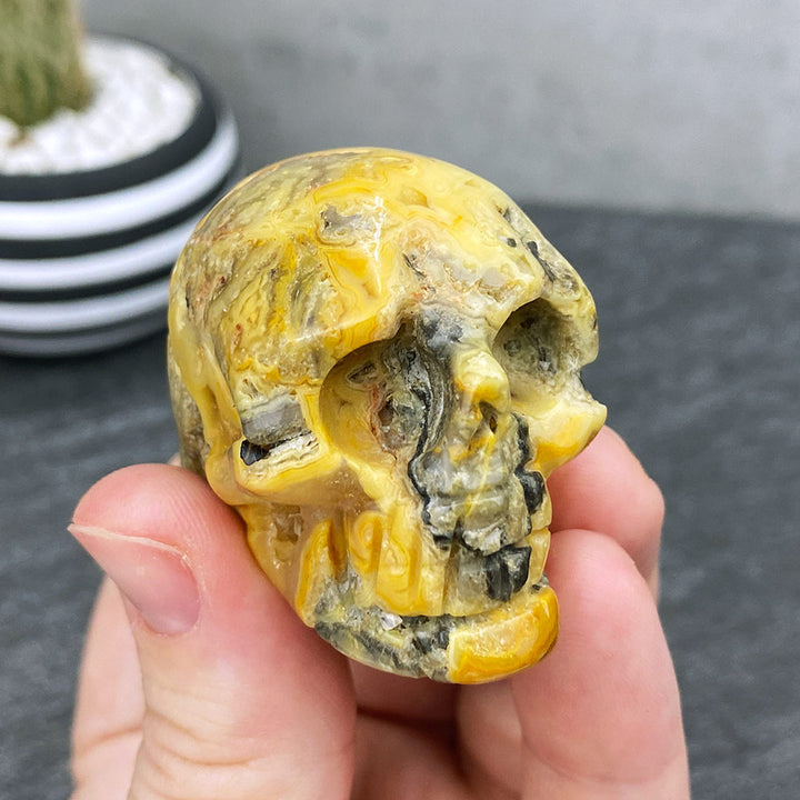 Polished Crazy Lace Agate Stone Skull Carving