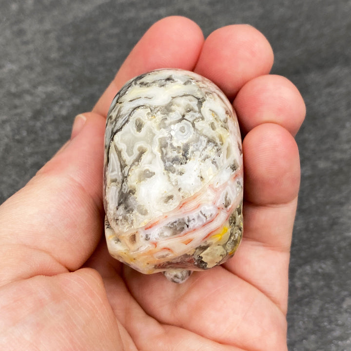 Crazy Lace Agate Stone Skull Carving