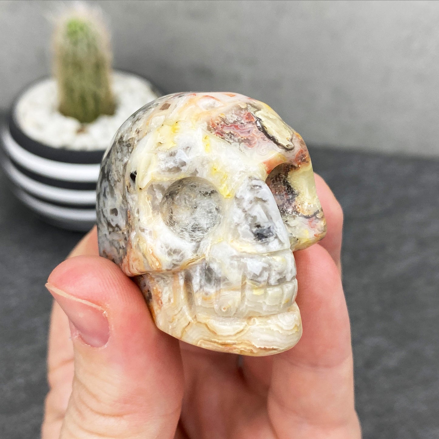 Crazy Lace Agate Stone Skull Carving