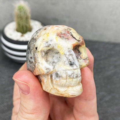 Crazy Lace Agate Stone Skull Carving