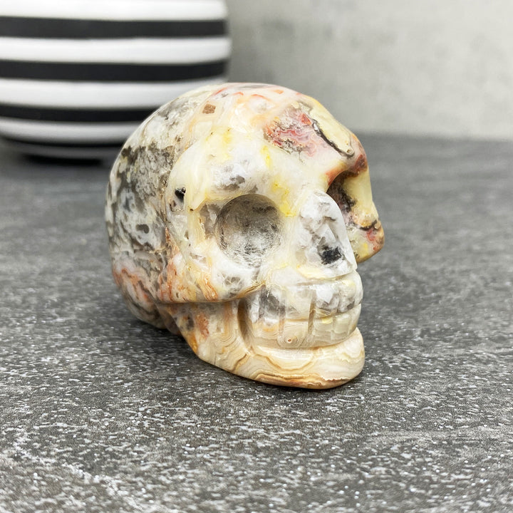 Crazy Lace Agate Stone Skull Carving