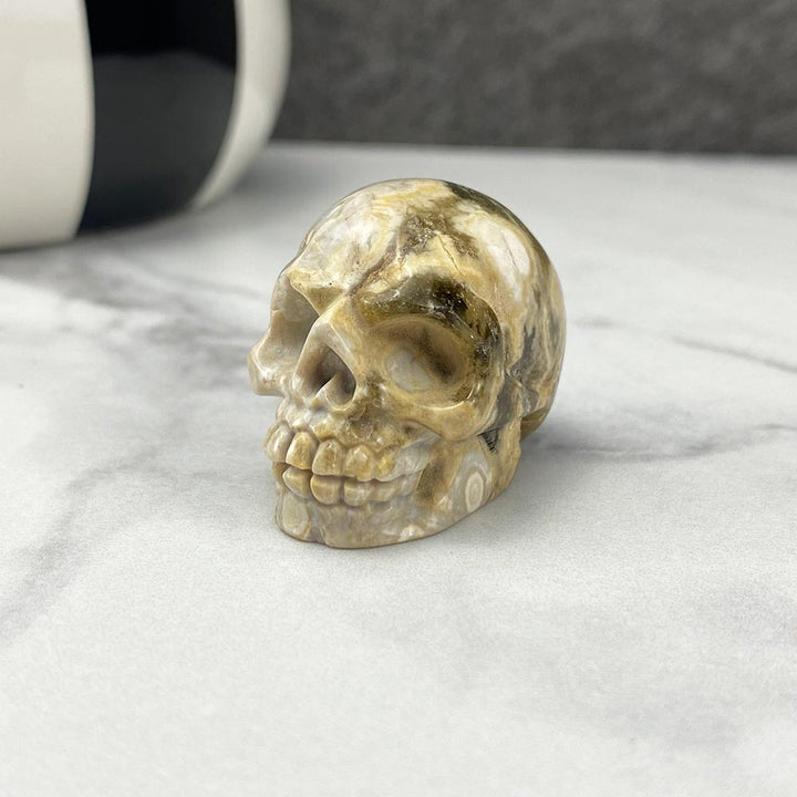 Polished Crazy Lace Agate Skull Carving