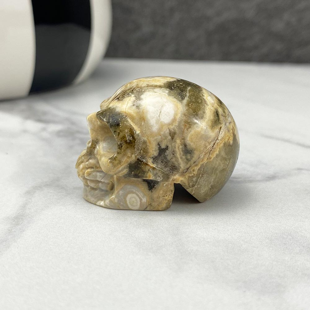Polished Crazy Lace Agate Skull Carving