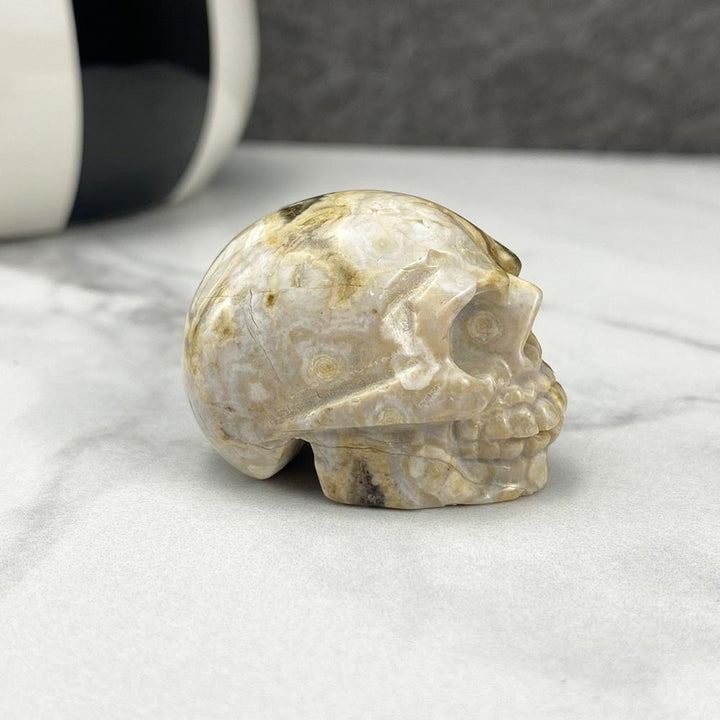 Polished Crazy Lace Agate Skull Carving