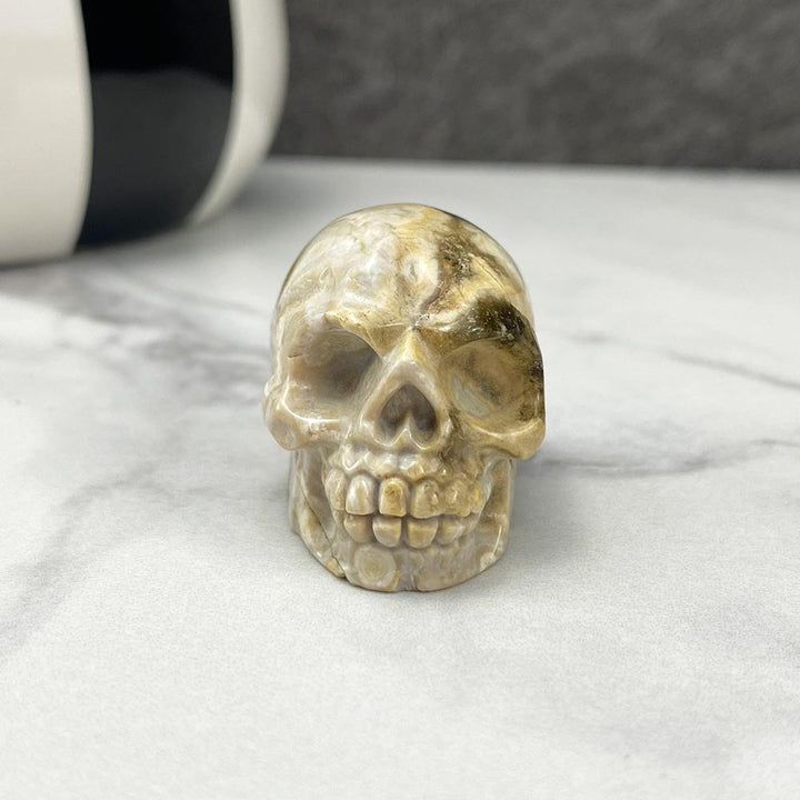 Polished Crazy Lace Agate Skull Carving