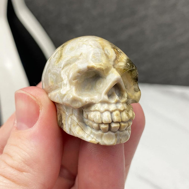 Polished Crazy Lace Agate Skull Carving