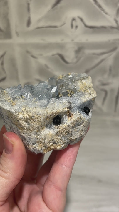 Celestite Crystal Hedgehog Carving Specimen