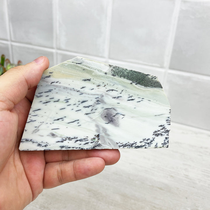 Hand Cut & Polished Dendritic Chalcedony Slab