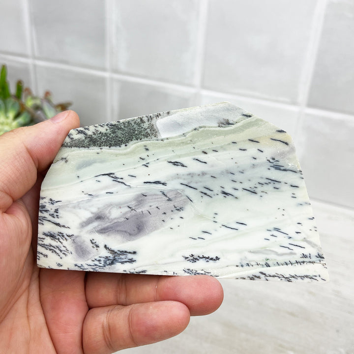 Hand Cut & Polished Dendritic Chalcedony Slab