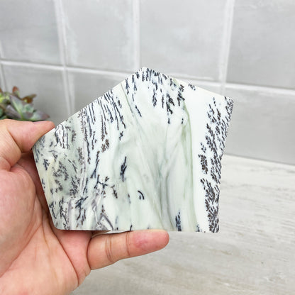 Hand Cut & Polished Dendritic Chalcedony Slab