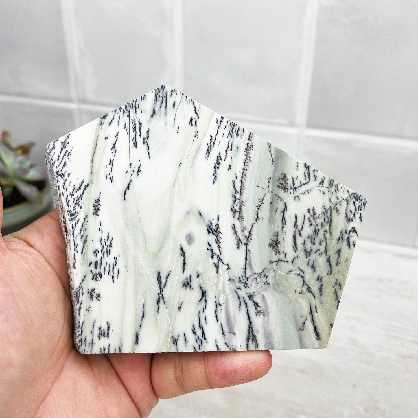 Hand Cut & Polished Dendritic Chalcedony Slab