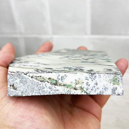 Hand Cut & Polished Dendritic Chalcedony Slab