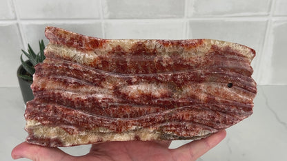Polished Pork Stone (Red Banded Calcite) Specimen Slab