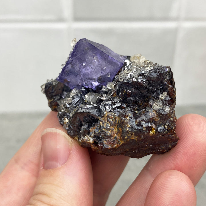 elmwood-fluorite-sphalerite-natural-specimen