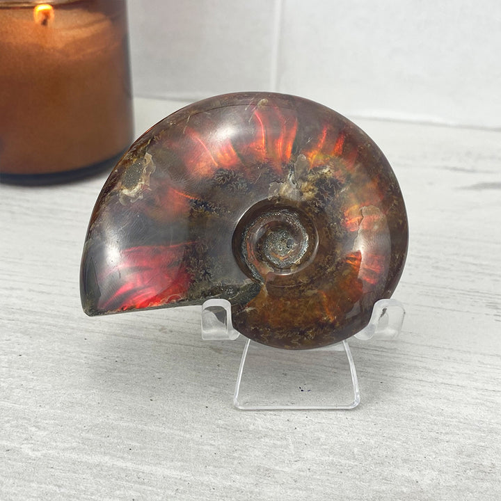 Polished Flashy Red Iridescent Ammonite Fossil