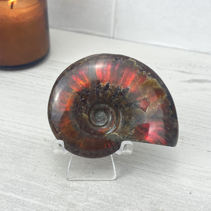 Polished Flashy Red Iridescent Ammonite Fossil