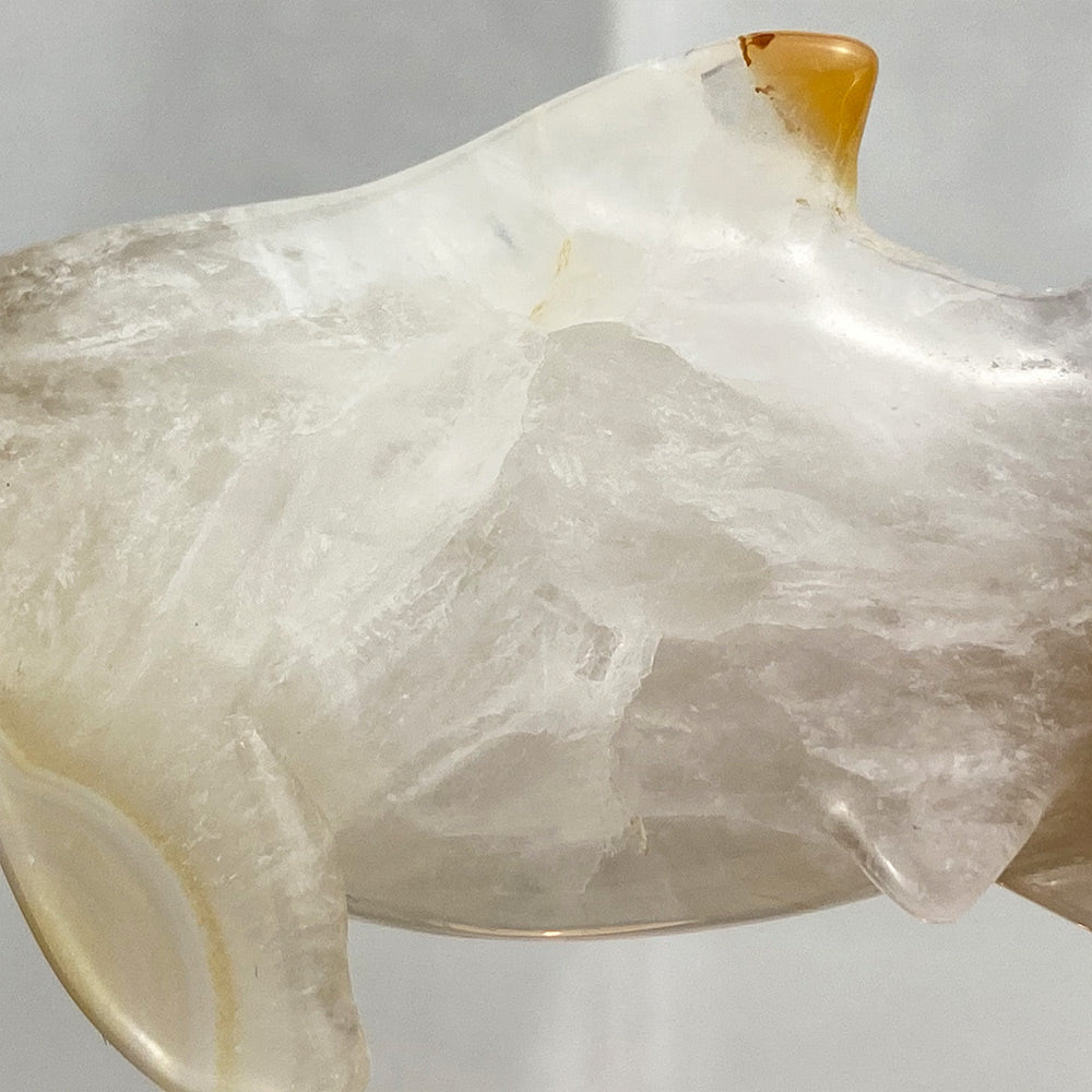Polished Flower Agate Hammerhead Shark