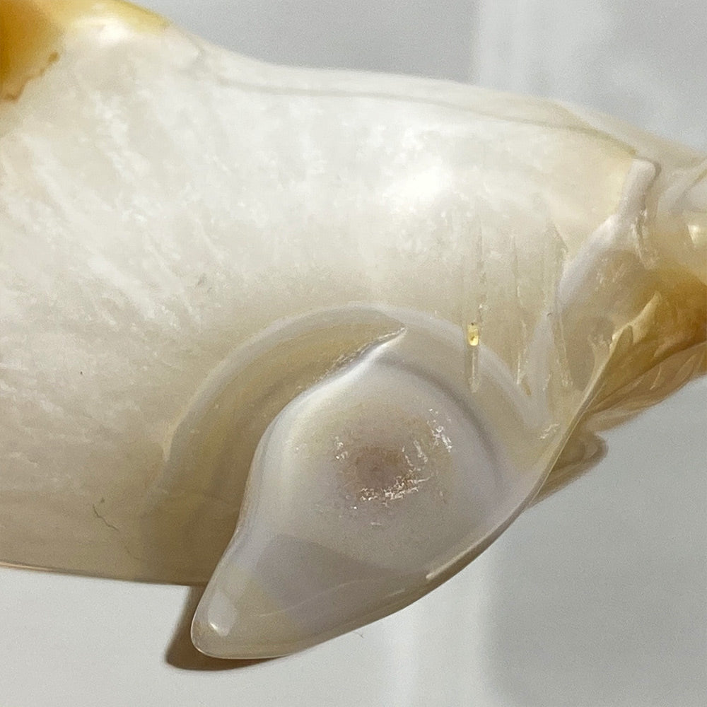 Polished Flower Agate Hammerhead Shark