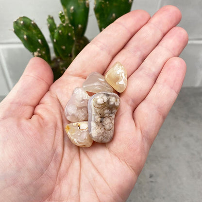 Medium Flower Agate Tumbles