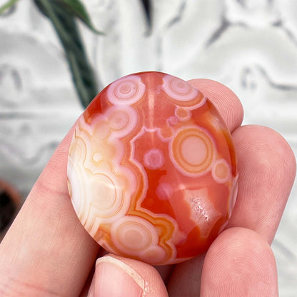 Polished Orange and White Gobi Desert Agate Cabochon