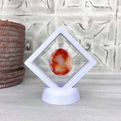 Polished Orange and White Gobi Desert Agate Cabochon