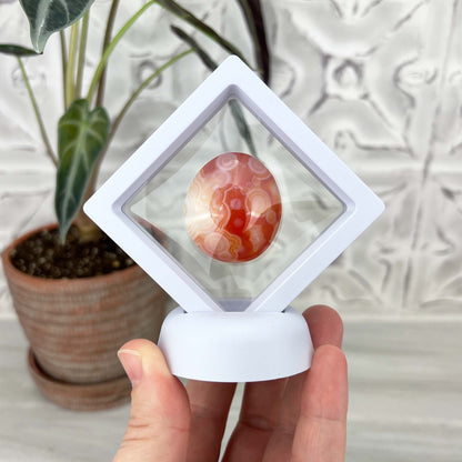 Polished Orange and White Gobi Desert Agate Cabochon