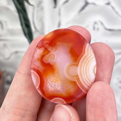 Polished Orange and White Gobi Desert Agate Cabochon