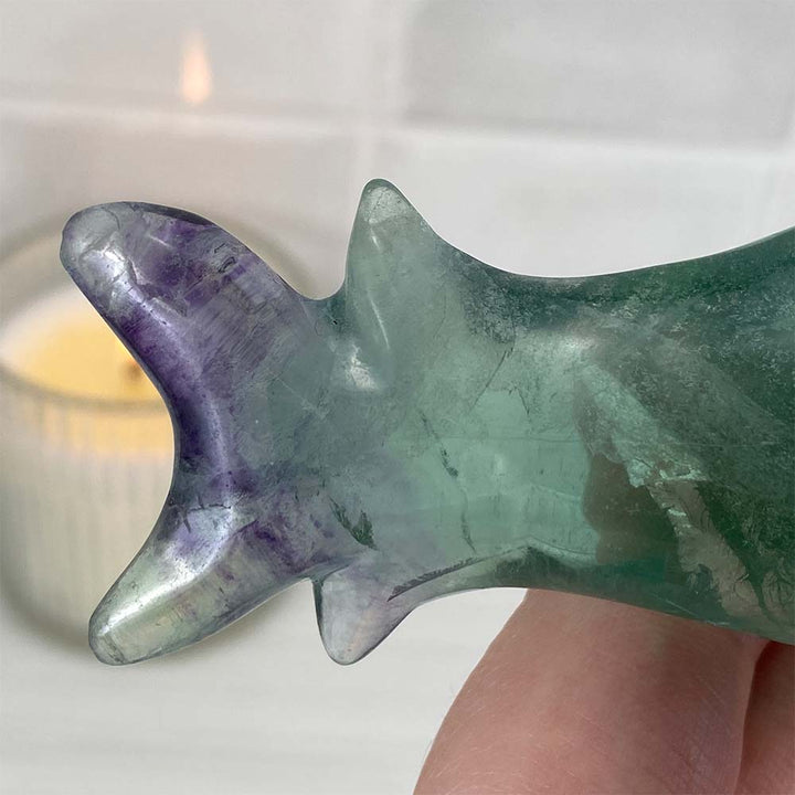 Polished Green and Purple Fluorite Great White Shark Carving