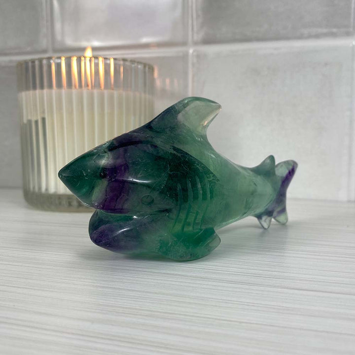 Polished Green and Purple Fluorite Great White Shark Carving