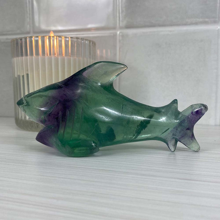 Polished Green and Purple Fluorite Great White Shark Carving