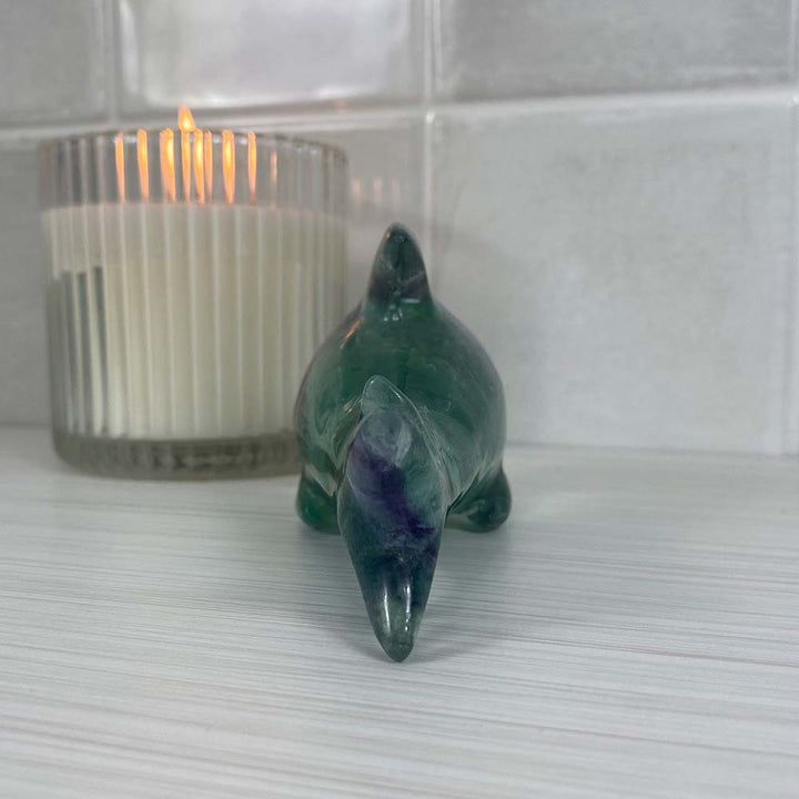 Polished Green and Purple Fluorite Great White Shark Carving