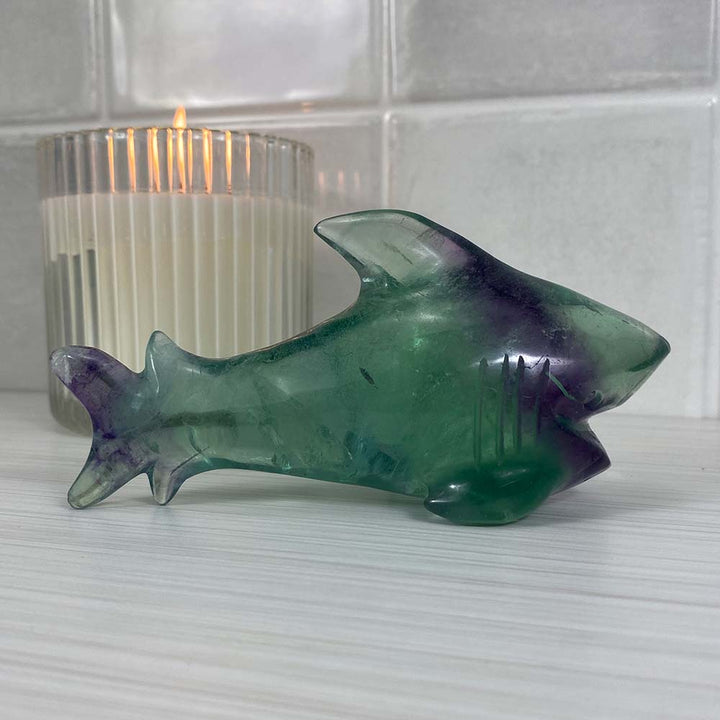 Polished Green and Purple Fluorite Great White Shark Carving