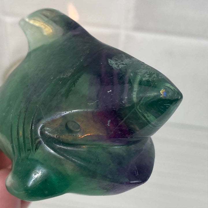 Polished Green and Purple Fluorite Great White Shark Carving