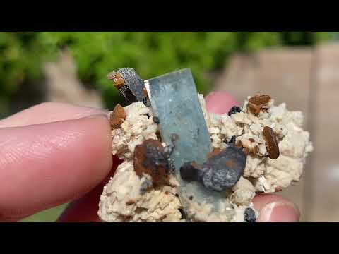 Aquamarine specimen in its natural state in a feldspar matrix with black tourmaline and siderite.
