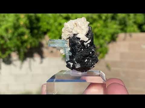 its natural state in a feldspar matrix with black tourmaline.