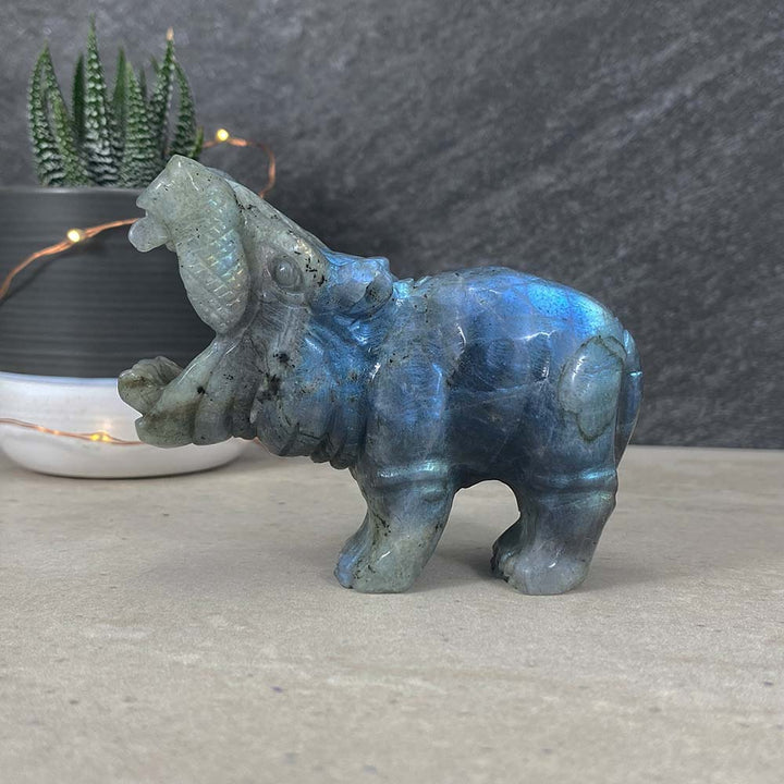 Polished Blue Flash Labradorite Hippo Carving