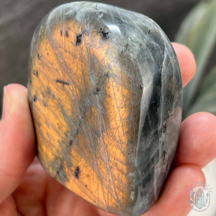 Orange and Yellow Flash Labradorite Freeform