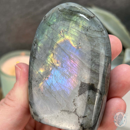 Polished Yellow, Blue, and Purple Flash Labradorite Freeform