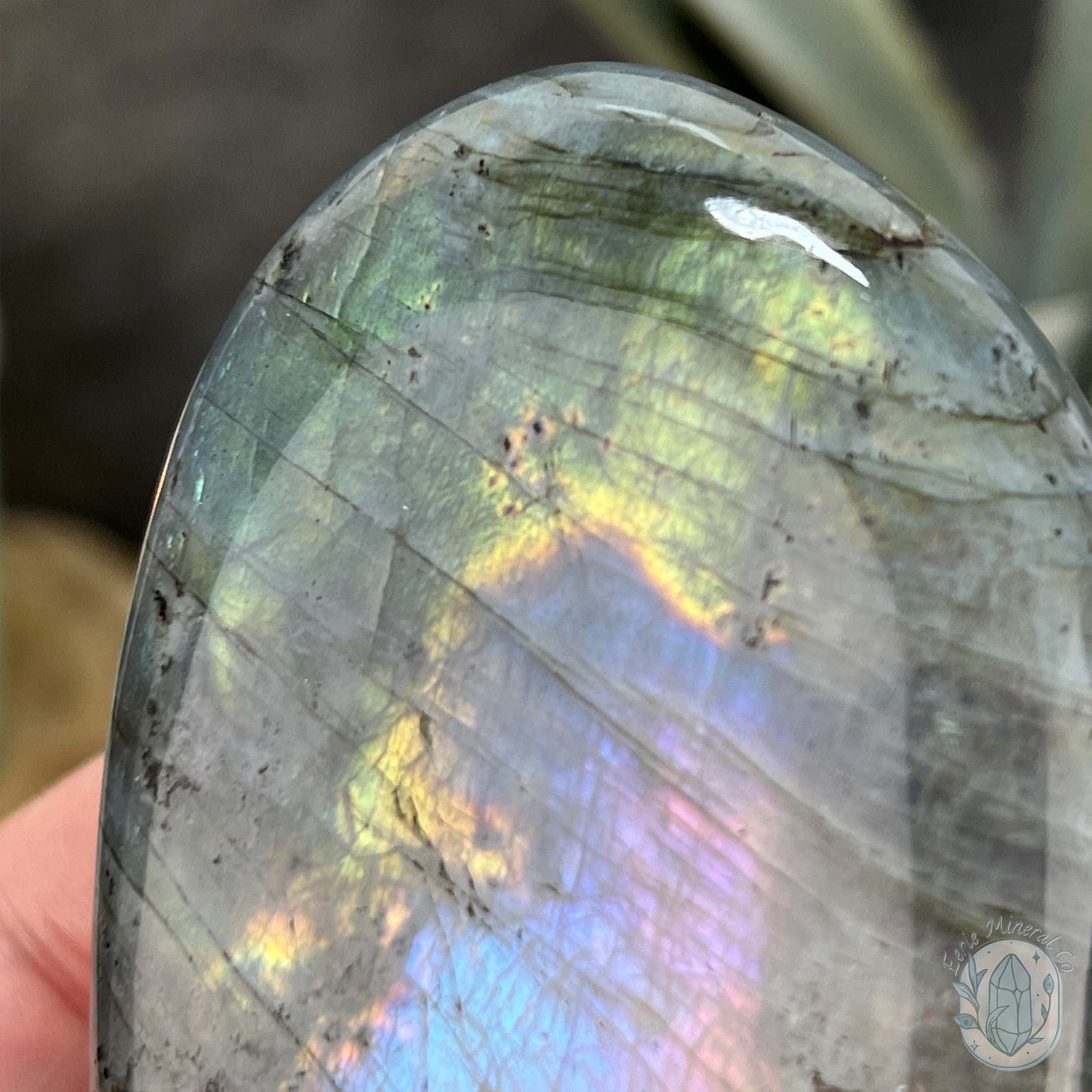 Polished Yellow, Blue, and Purple Flash Labradorite Freeform