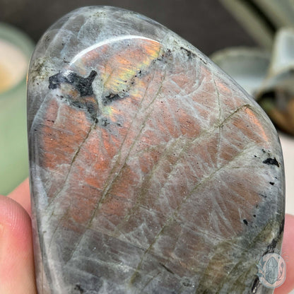 Polished Golden Orange Flash Labradorite Freeform