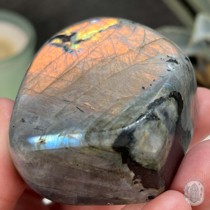 Polished Golden Orange Flash Labradorite Freeform