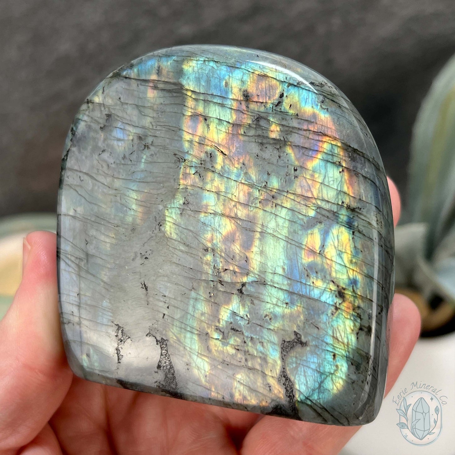 Polished Rainbow Flash Labradorite Freeform
