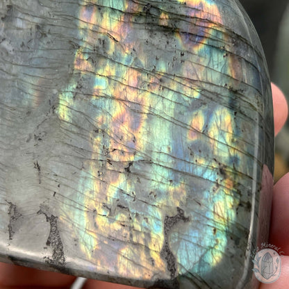 Polished Rainbow Flash Labradorite Freeform